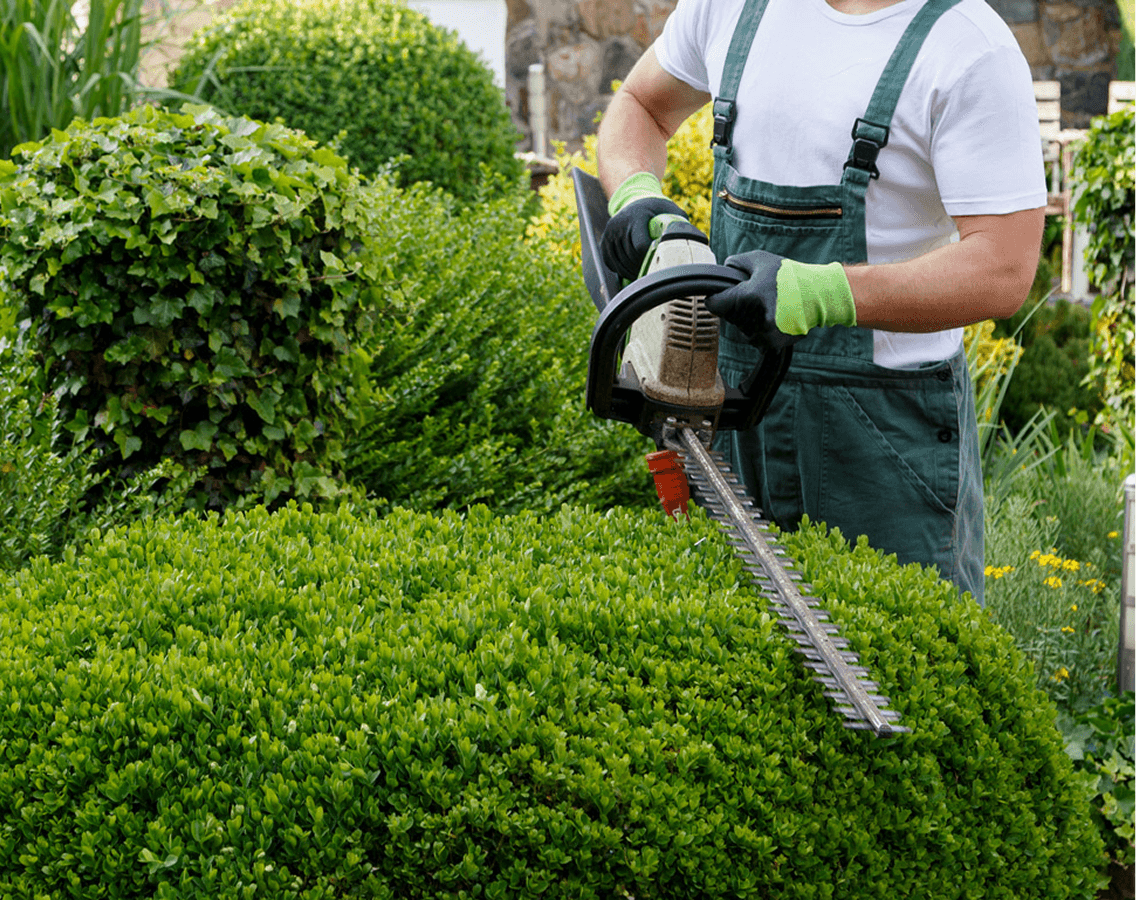 Landscaping image