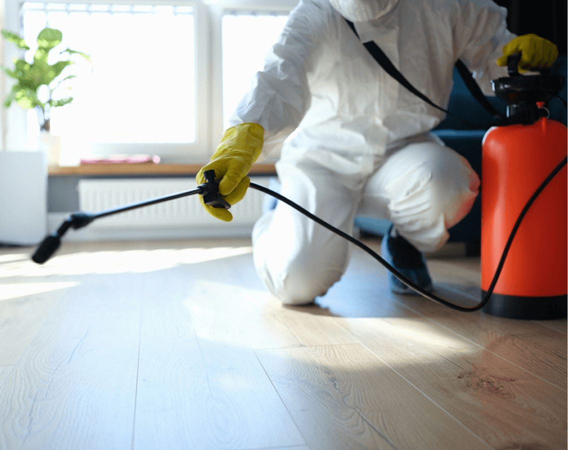 Pest Control image